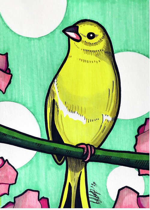Canary Greeting Card featuring the drawing Canary by Creative Spirit