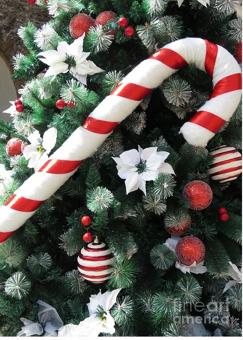 Accessories Greeting Card featuring the photograph Candy Cane Holiday by World Reflections By Sharon