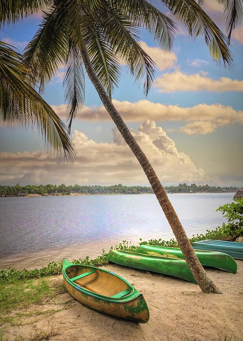 African Greeting Card featuring the photograph Canoes Waiting on the Beach by Debra and Dave Vanderlaan