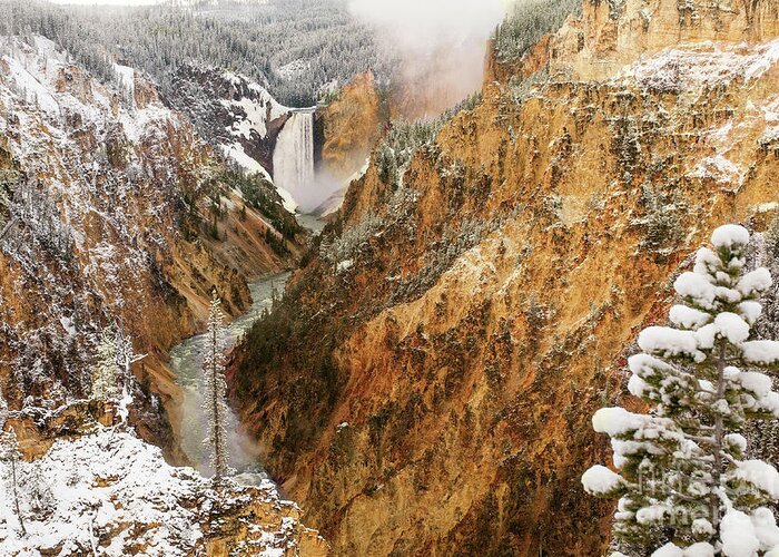 Yellowstone Greeting Card featuring the photograph Canyon by Steve Stuller