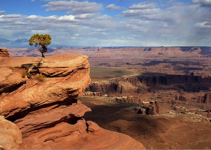 Canyonlands Greeting Card featuring the photograph Canyonlands Vista at Grand View Point Overlook by Peter Herman