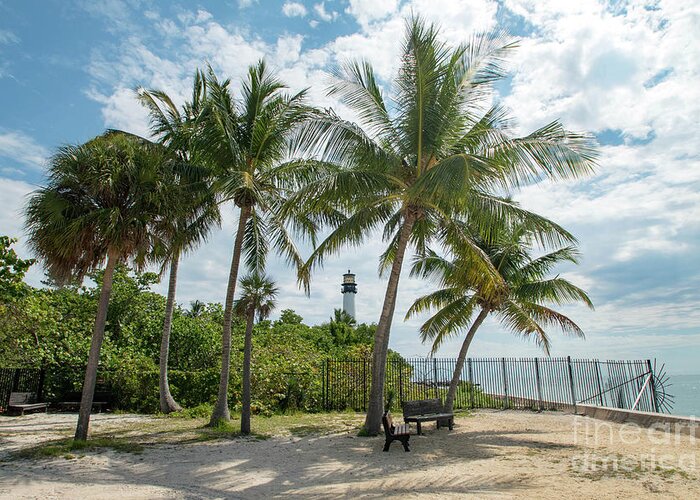 Cape Greeting Card featuring the photograph Cape Florida Lighthouse and Palm Trees on Key Biscayne by Beachtown Views