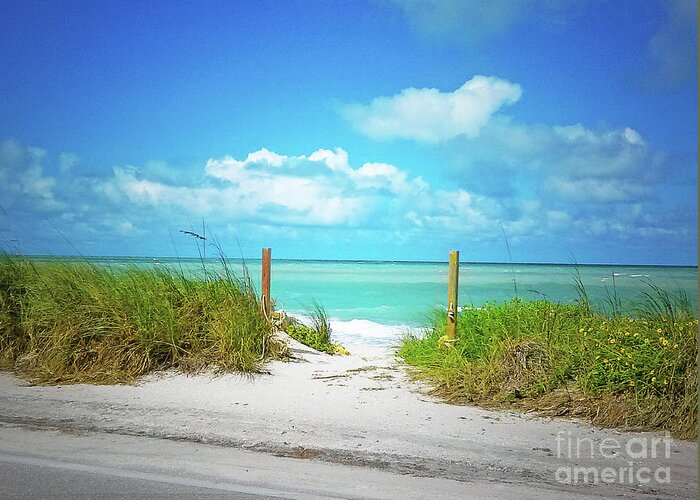 Florida Greeting Card featuring the photograph Captiva View by Chris Andruskiewicz