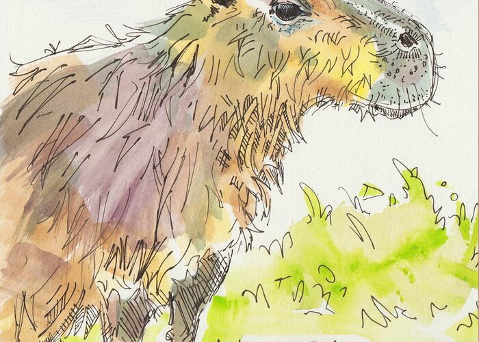 Capybara Greeting Card featuring the painting Capybara sitting down watercolor painting by Mike Jory