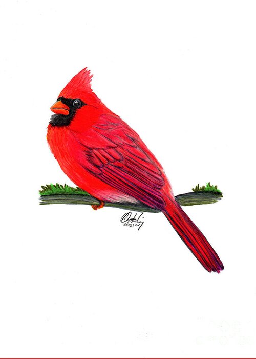  Greeting Card featuring the mixed media Cardinal by Stephen Oosterling