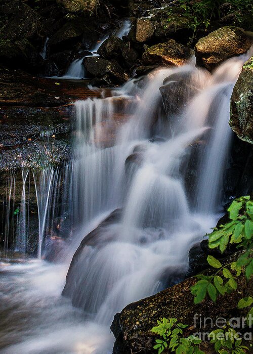 Amicalola Falls. Georgia Greeting Card featuring the photograph Cascades at Amicalola by Nick Zelinsky Jr