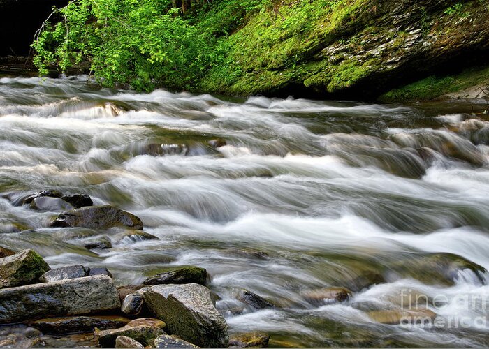  Greeting Card featuring the photograph Cascades On Little River 3 by Phil Perkins