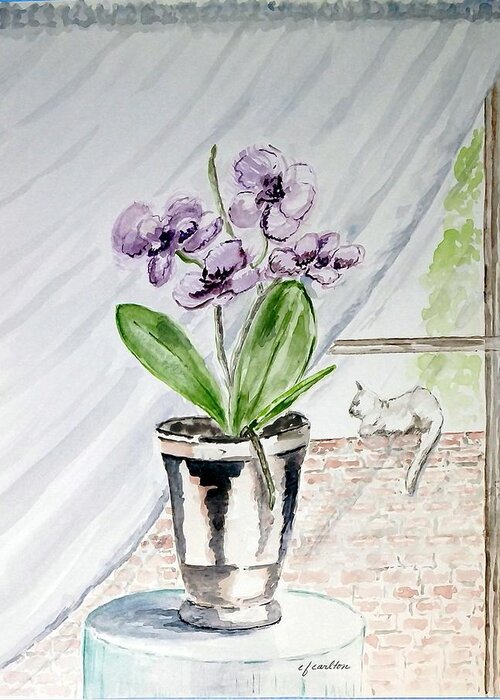 Still Life Greeting Card featuring the painting Cat through the Window by Claudette Carlton