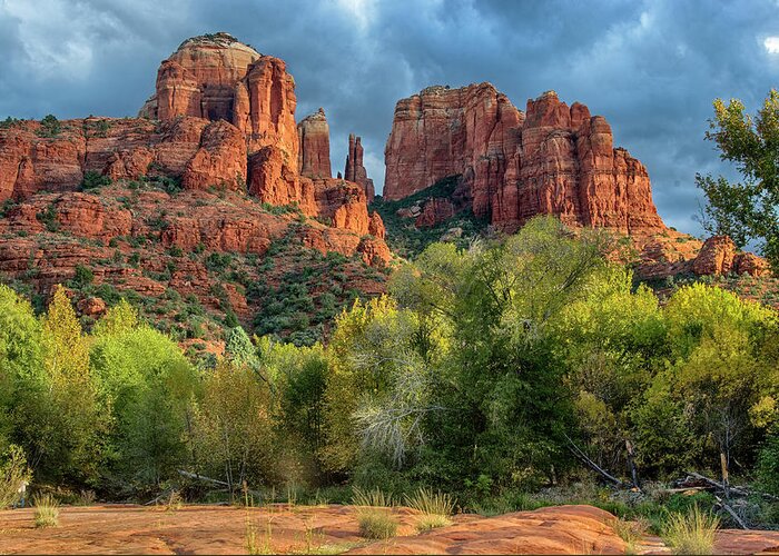 Cathedral Rock Greeting Card featuring the photograph Cathedral Rock Fall Colors by Dave Dilli