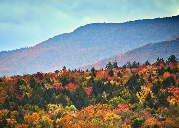 Catskill Mountains Greeting Card featuring the photograph Catskill Mounatins by Ingrid Zagers