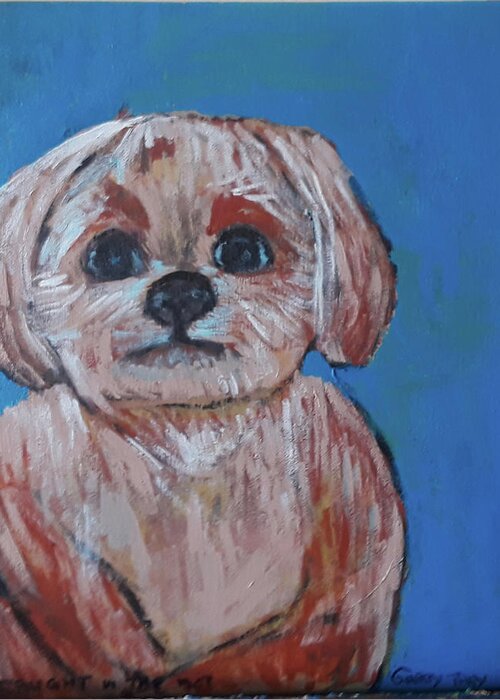 Dog Greeting Card featuring the painting Caught in the Act by Gabby Tary