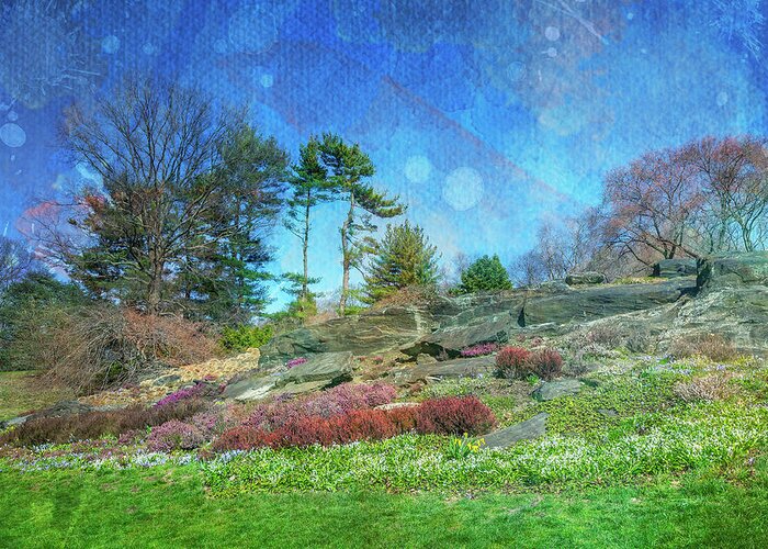 Native Plant Garden Greeting Card featuring the photograph Celestial Gardens by Cate Franklyn