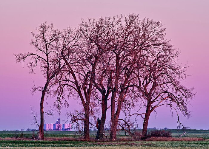 Cendak Greeting Card featuring the photograph Cendak Framed - sunrise at the Benson County ND grain elevator viewed through cottonwood grove by Peter Herman