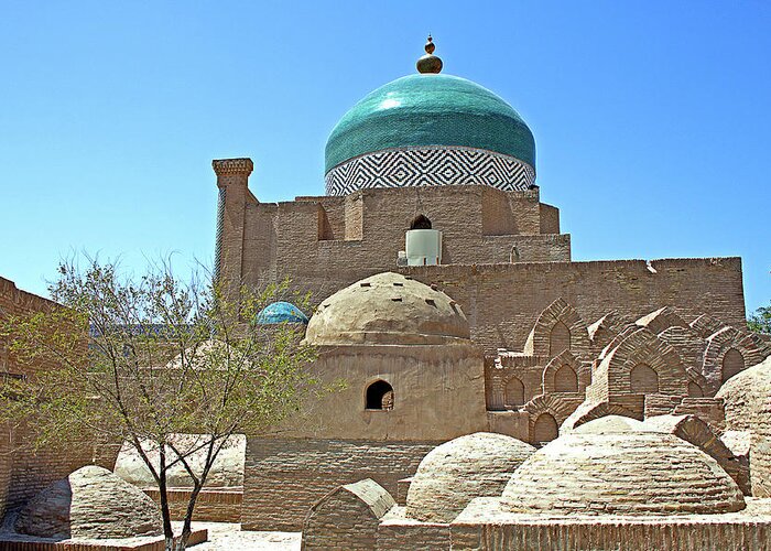 Greeting Card featuring the photograph Central Asia 12 by Eric Pengelly