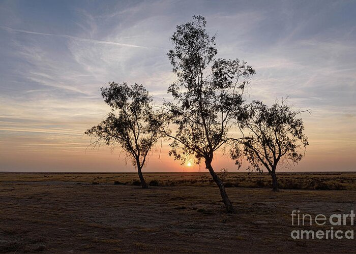 Sunset Greeting Card featuring the photograph Central Valley Sunset by Jeff Hubbard