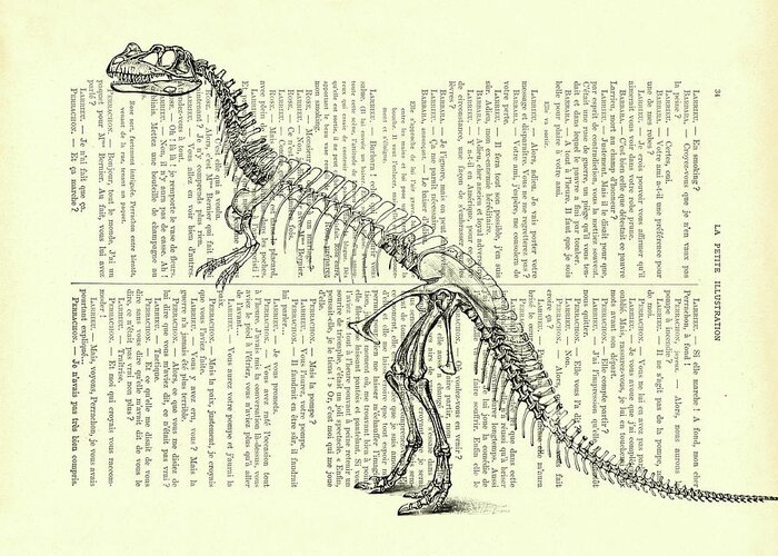 Dino Greeting Card featuring the mixed media Ceratosaurus Skeleton by Madame Memento