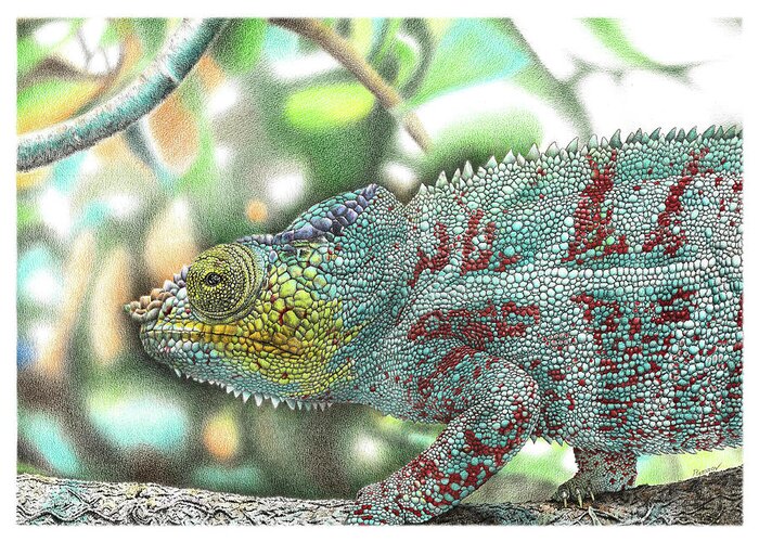 Chameleon Greeting Card featuring the drawing Chameleon by Casey 'Remrov' Vormer