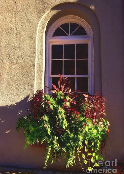 Charleston Greeting Card featuring the photograph Charleston Window Box by Kathy Baccari