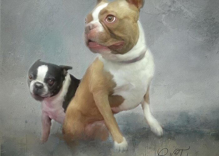 Boston Terrier's Greeting Card featuring the mixed media Cheech and Chong by Colleen Taylor