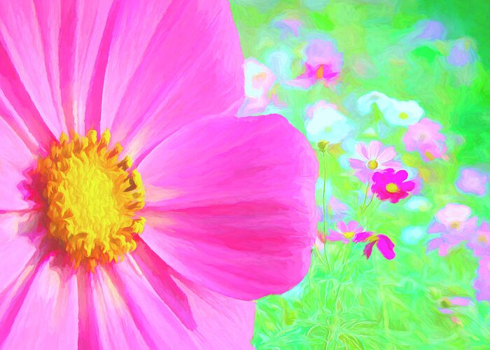 Cosmos Greeting Card featuring the digital art Cheerful Cosmos Garden by Susan Hope Finley