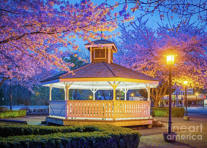 America Greeting Card featuring the photograph Cherry Blossom Gazebo by Inge Johnsson