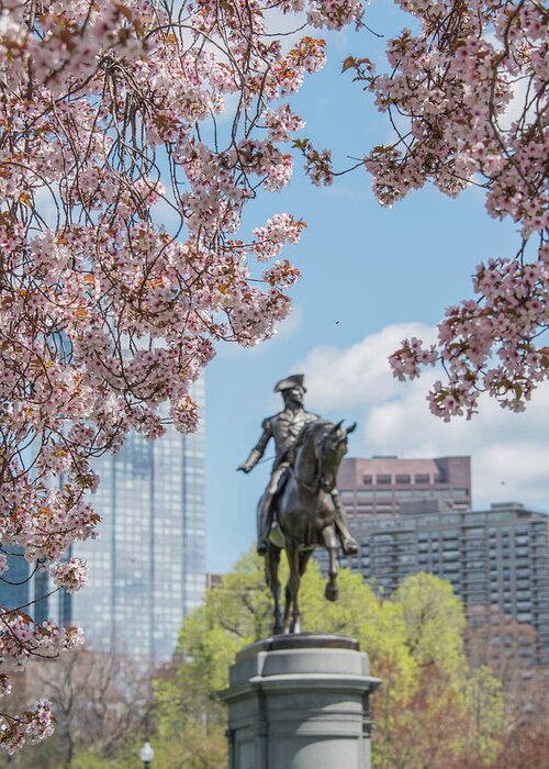 Cherry Blossoms Greeting Card featuring the photograph Cherry Blossoms Statue by Sally Cooper