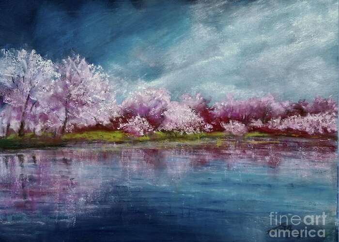 Cherry Tree Greeting Card featuring the pastel Cherry Tree Spring Reflection by Zan Savage