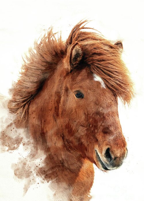 Icelandic Greeting Card featuring the photograph Chestnut Icelandic horse, islenski hesturinn, digital watercolour. Close up of face and mane. by Jane Rix