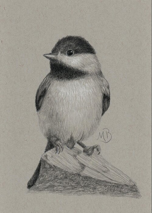 Chickadee Greeting Card featuring the drawing Chickadee by Monica Burnette