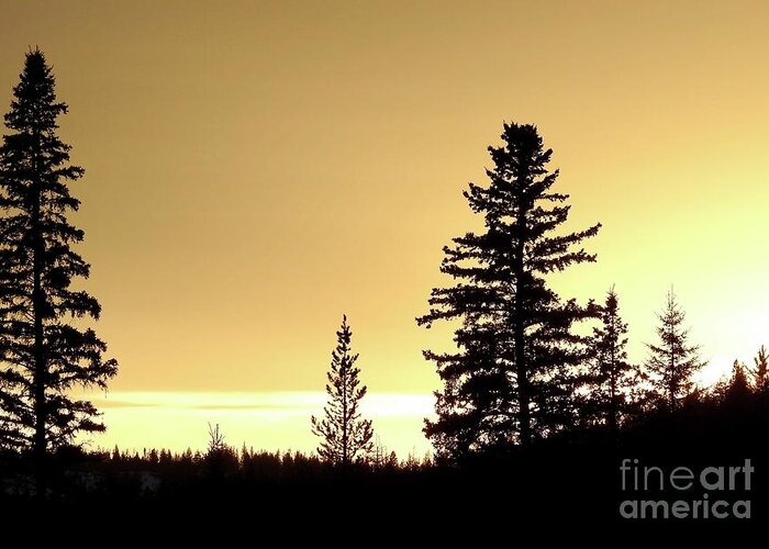 Sunset Greeting Card featuring the photograph Chilcotin Sunset by Nicola Finch