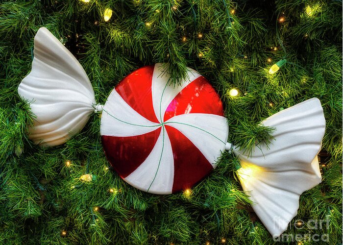 Nashville Greeting Card featuring the photograph Christmas Candy Bow by Nick Zelinsky Jr