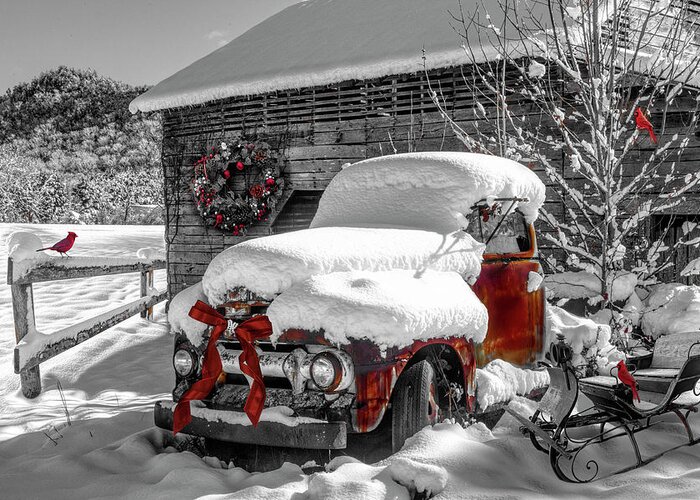 Barns Greeting Card featuring the photograph Christmas Cardinals Black and White and Red by Debra and Dave Vanderlaan