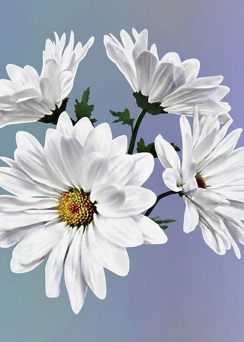 Daisy Greeting Card featuring the photograph Circle of White Daisies by Susan Savad