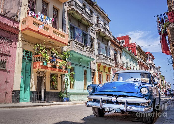 Classic Greeting Card featuring the photograph Classic car in Havana, Cuba by Delphimages Photo Creations