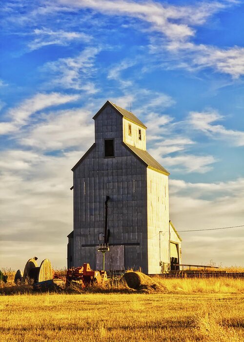 Cottonwood Greeting Card featuring the photograph Classic grain elevator by Tatiana Travelways