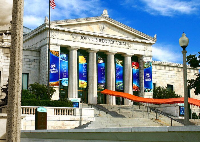 Architecture Greeting Card featuring the photograph Classical Roman Architecture Shedd Aquarium by Patrick Malon