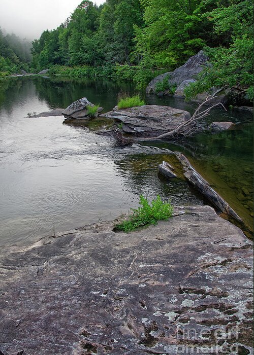 Tennessee Greeting Card featuring the photograph Clear Creek At Obed 7 by Phil Perkins