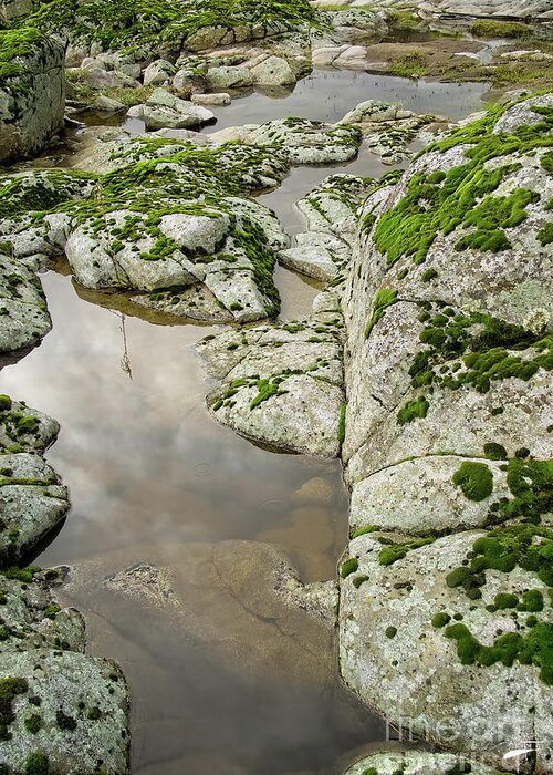 Rocks Greeting Card featuring the photograph Clouds in Reflection by Theresa Fairchild