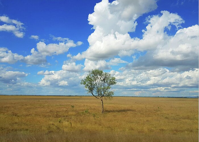 Tree Greeting Card featuring the photograph Clouds over a Lone Tree by Andre Petrov