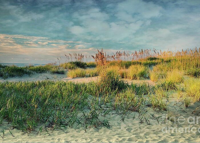 Coastal Greeting Card featuring the photograph Coastal Dreams by Terry Rowe