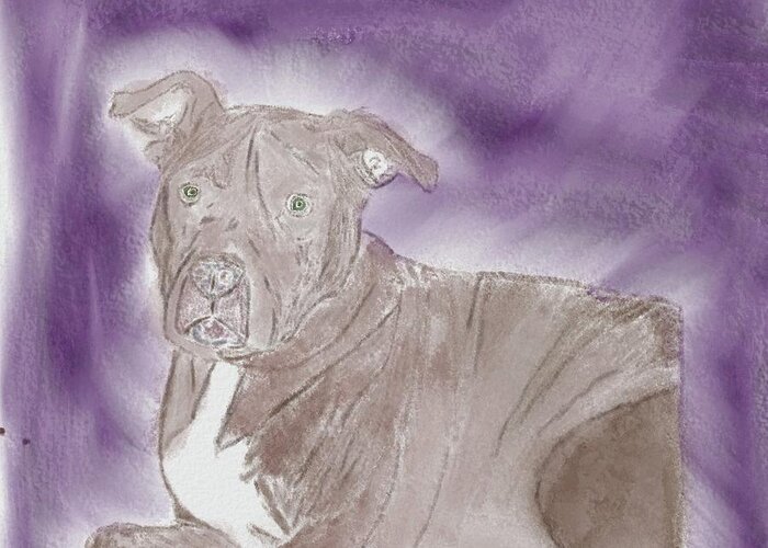Dog Greeting Card featuring the drawing Coco by Steve Carpentier