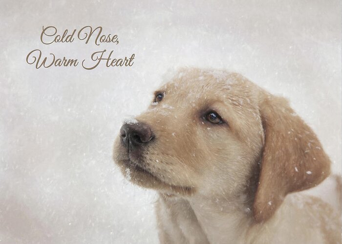 Christmas Greeting Card featuring the photograph Cold Nose Warm Heart by Lori Deiter