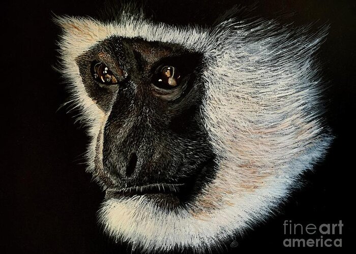 Greeting Card featuring the painting Colobus Monkey Acrylic Painting on A3 black art card by Moospeed Art