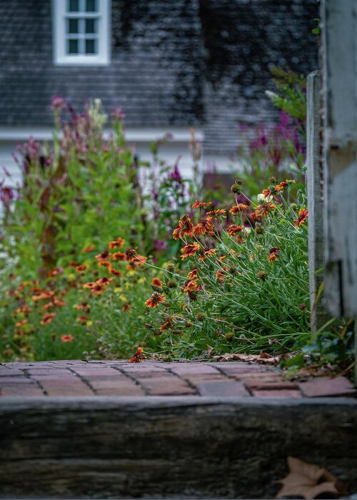 Gaillardia Aristata Greeting Card featuring the photograph Stepping into a Late Summer Garden by Rachel Morrison