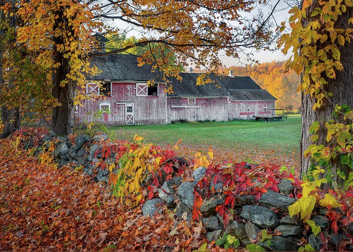 Rural America New England Fall Foliage Greeting Card featuring the photograph Color of New England by Bill Wakeley