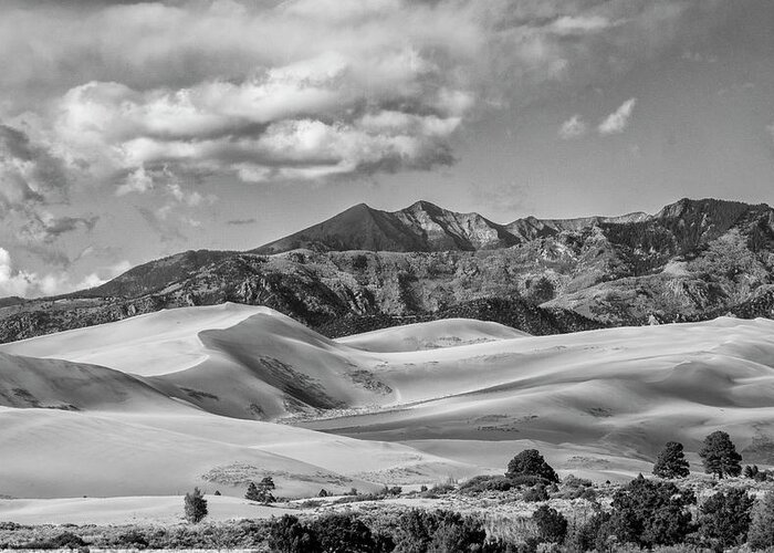 Colorado Greeting Card featuring the photograph Colorado Sand Dunes by Tony Locke