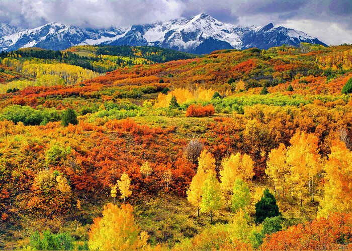 Autumn Greeting Card featuring the photograph Colorful Colorado at it's Best  by John Hoffman