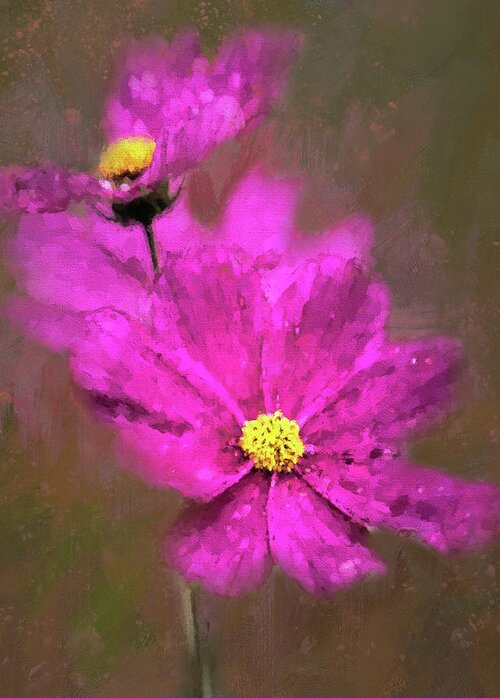 Cosmos Greeting Card featuring the photograph Colorful Cosmos by HH Photography of Florida