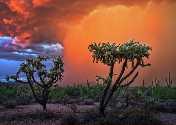 Desert Storm Greeting Card featuring the photograph Colorful Desert Storm in Central Arizona by Dave Dilli