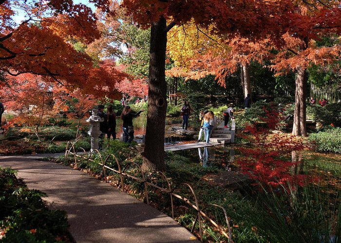 Autumn Greeting Card featuring the photograph Colorful Detour by Ricardo J Ruiz de Porras